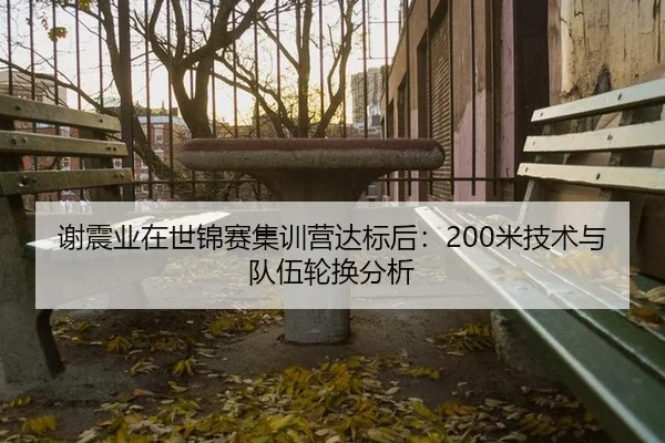 xie-zhen-ye-zai-shi-jin-sai-ji-xun-ying-da-biao-hou-mi-ji-shu-yu-dui-wu-lun-huan-fen-xi-2-379.jpg