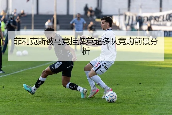 fei-li-ke-si-bei-ma-jing-gua-pai-ying-chao-duo-dui-jing-gou-qian-jing-fen-xi-3-723.jpg